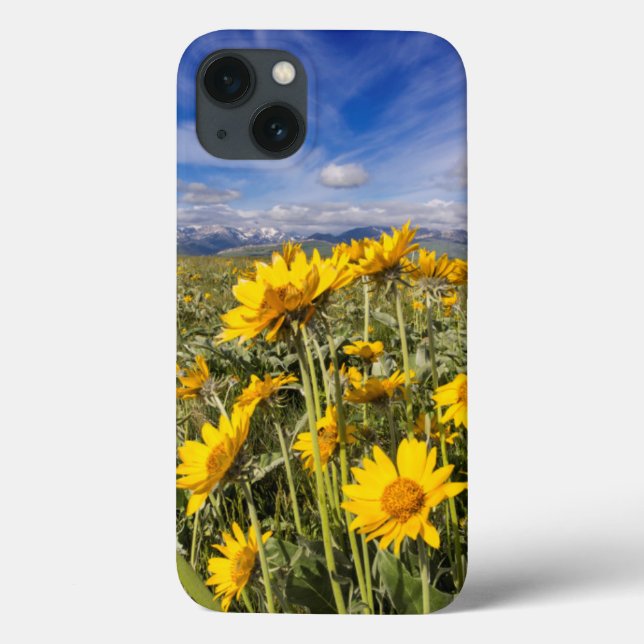 Rocky Mountain Front Range (Verso)