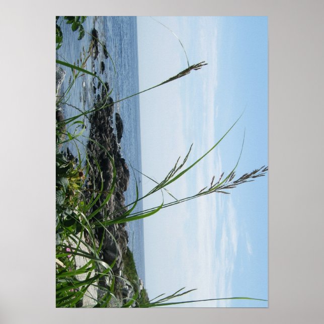 Rocky Shore Poster (Frente)