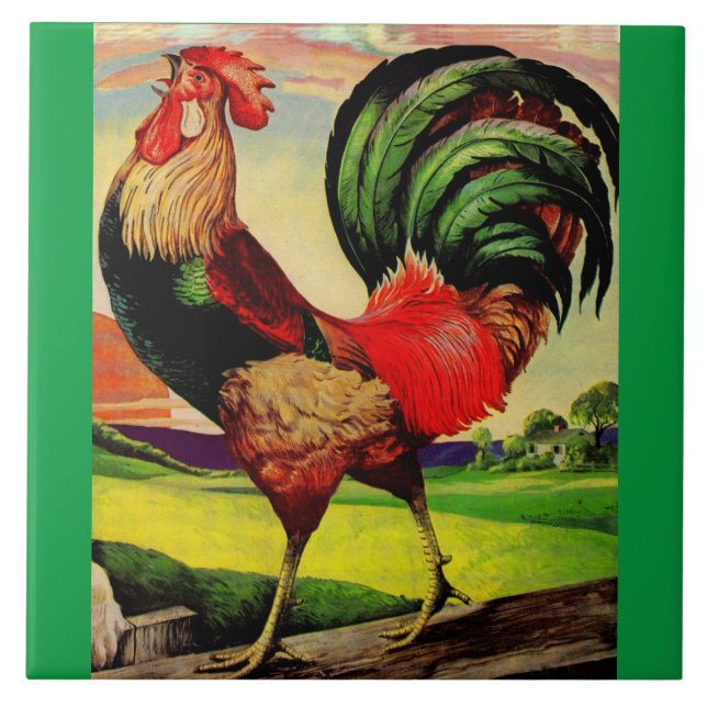 Rocky the Handsome Rooster (Frente)