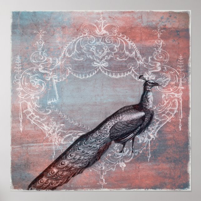 Rococo - Impressão Pavão Azul e Rosa (Frente)
