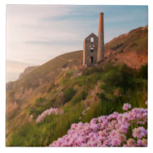 Roda Coates tin, com flores cor-de-rosa, Cornwall