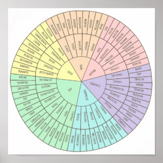 Roda das emoções poster