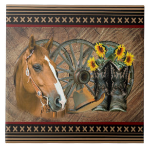 Roda de Carruagem do Cargueiro do Cavalo Ocidental