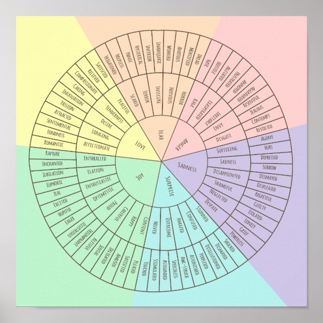Roda de emoções e sentimentos poster (Frente)