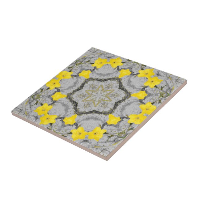 Roda de Harmonia Jonquil  (Lateral)