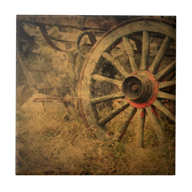 Roda do Vagão Russo Ocidental Primitivo (Frente)