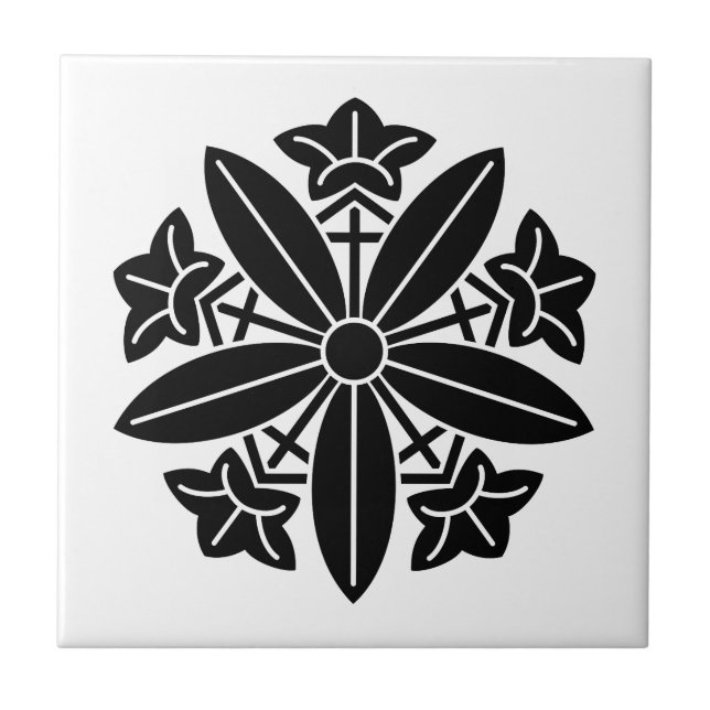 roda genciana Kuga (Frente)