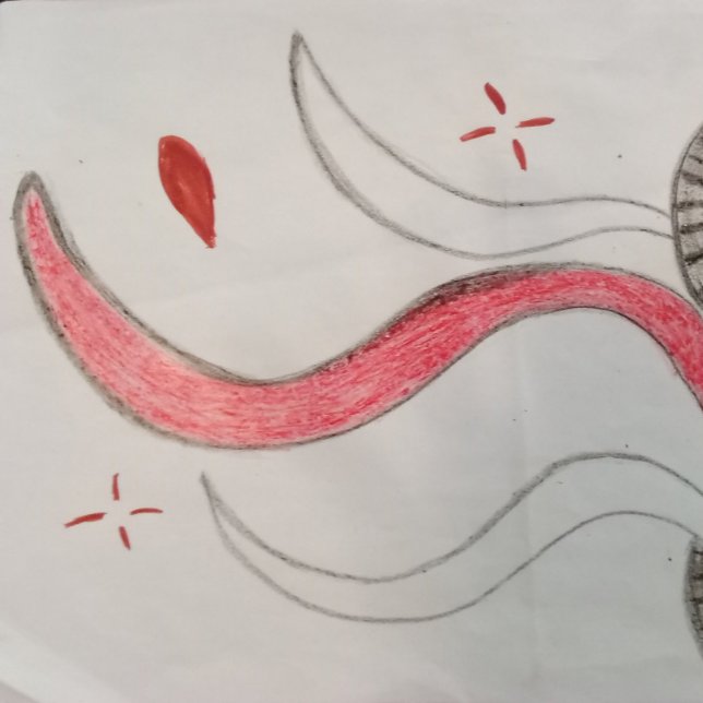 Rodas no caminho canvas (Criador carregado)