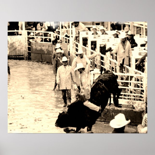 Rodeo Bull Rider Poster (Frente)