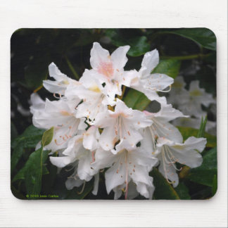 Rododendro branco Mousepad