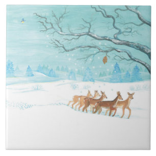Roe Deer em Bandana de inverno
