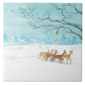Roe Deer no inverno