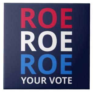 Roe Seu Voto I