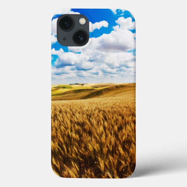 Rolling hills of ripe wheat (Verso)