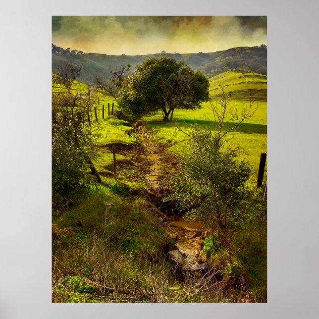 Rolling Oaks Impressão (Frente)