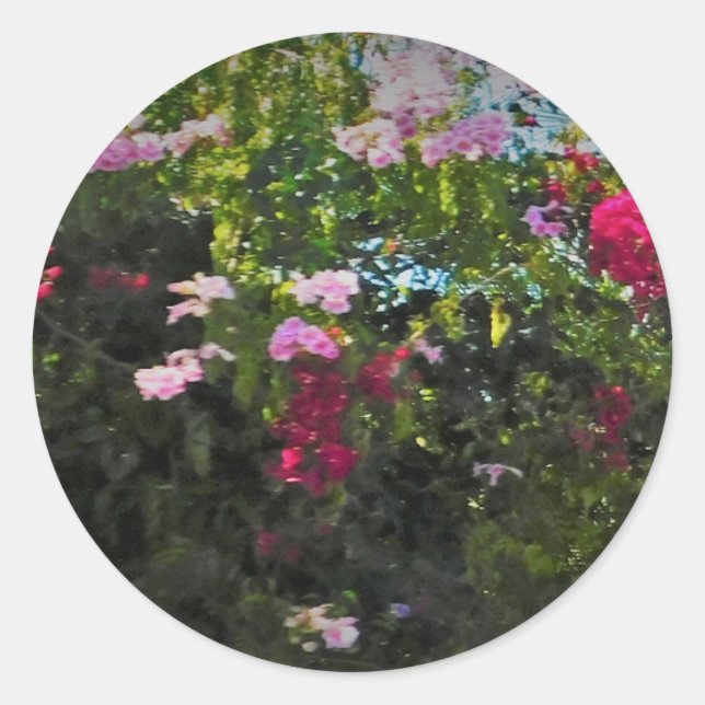 ROLO DE ADESIVOS (Frente)