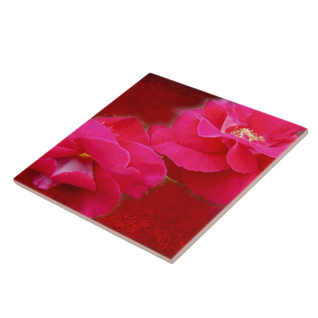 Romance e Rosas vermelhas (Lateral)