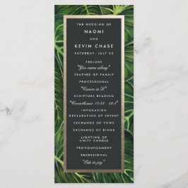 Romance tropical / Programa