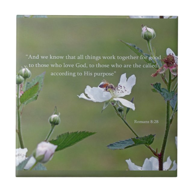 Romanos 8:28 (Frente)