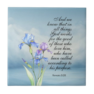 Romanos 8:28 Aquarela Íris