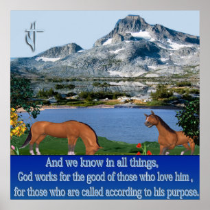 Romanos 8:28 poster