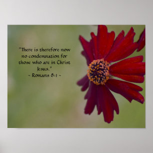 Romanos: Poster de 8:1