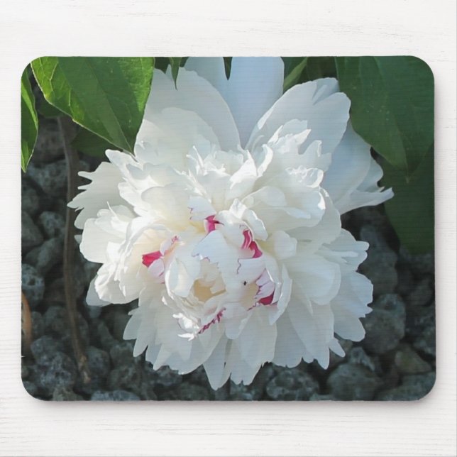 Romantic Peony Mousepad (Frente)