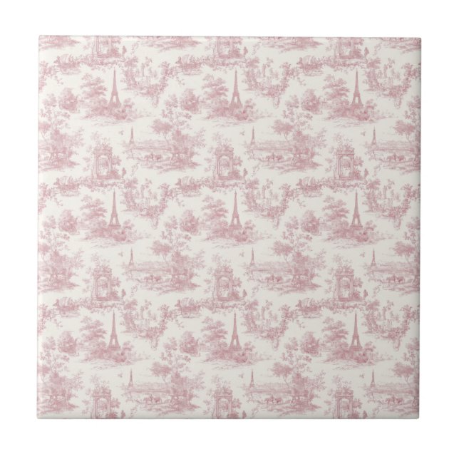 Romantic Pink French Toile Countryside Pattern (3) (Frente)
