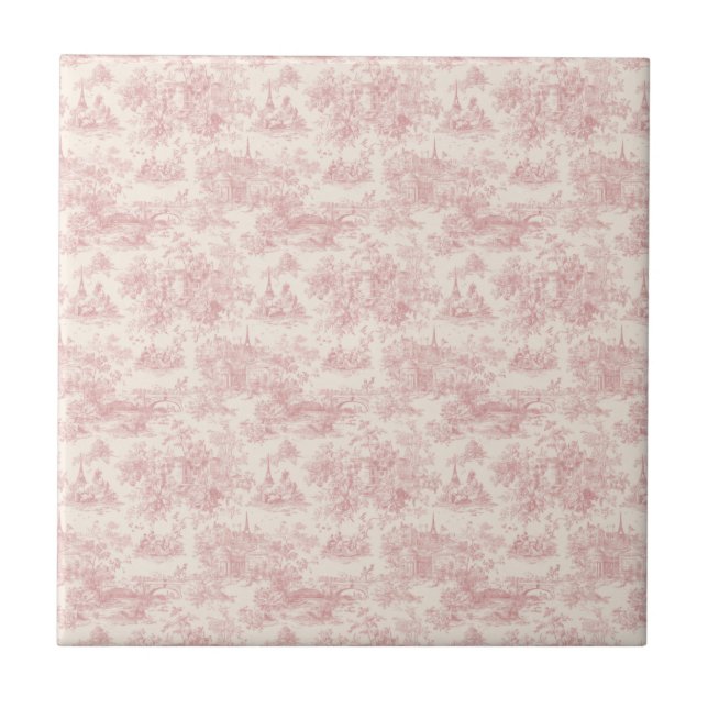 Romantic Pink French Toile Countryside Pattern (4) (Frente)