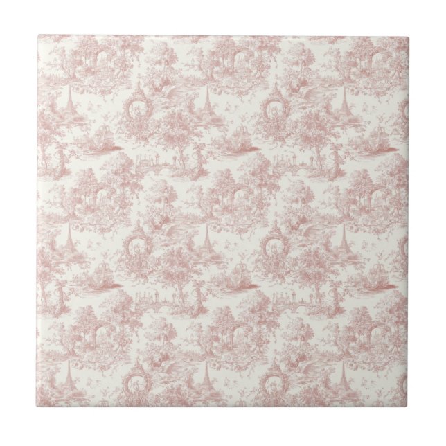 Romantic Pink French Toile Countryside Pattern (5) (Frente)