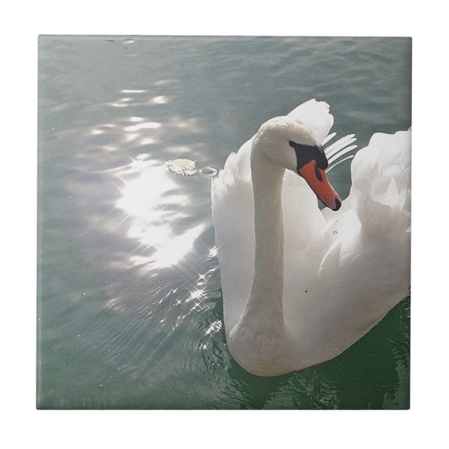 Romantischer weisser Schwan (Frente)
