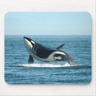 Rompendo a baleia Mousepad