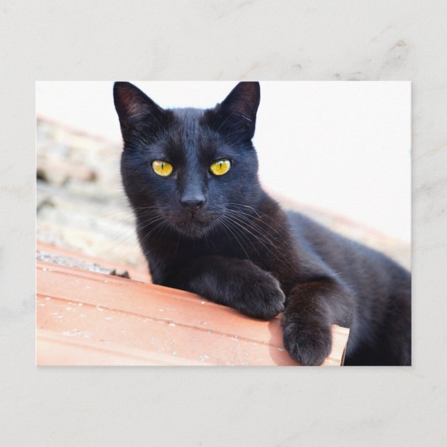 Rondando o cartão postal (Frente)