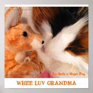 Roo abafado & poster de Skippy Peeg