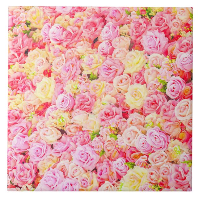 Rosa (Frente)