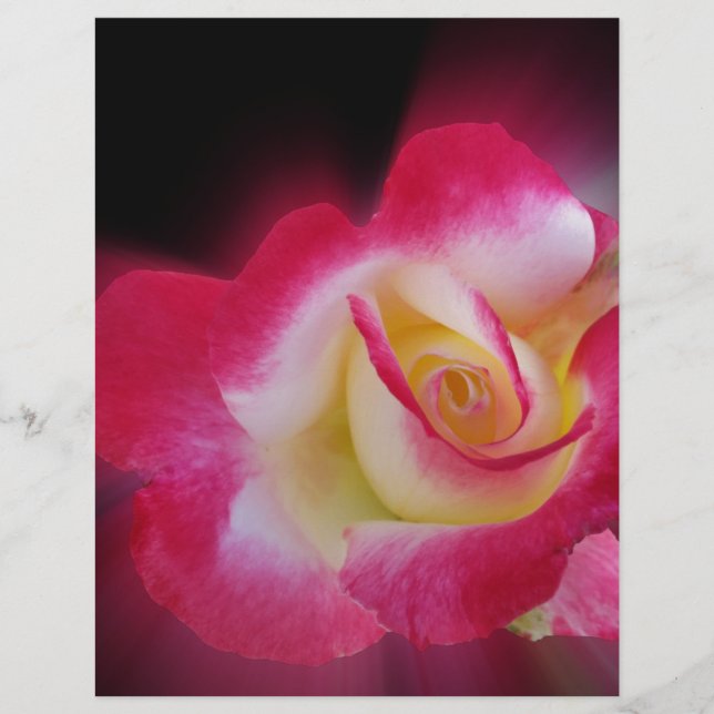 rosa amarela (Frente)