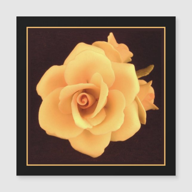 Rosa Amarela, Foto 2004. (Frente)