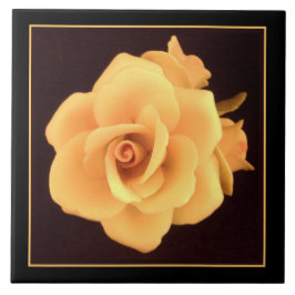 Rosa Amarela, Foto 2004.