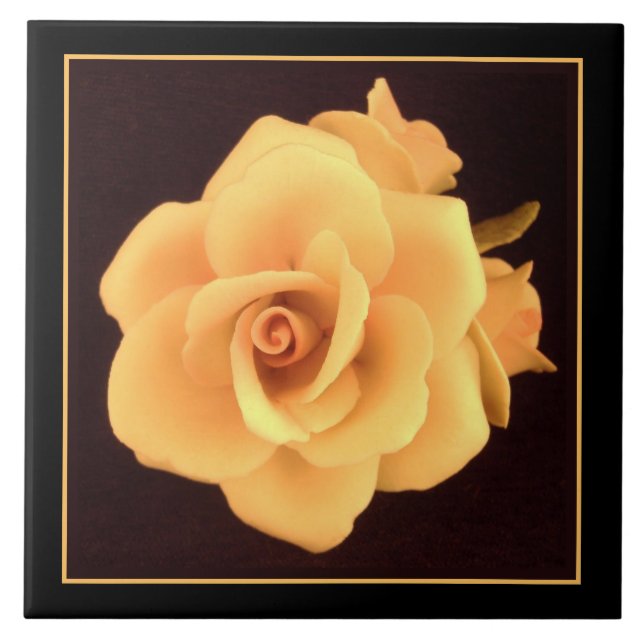 Rosa Amarela, Foto 2004. (Frente)