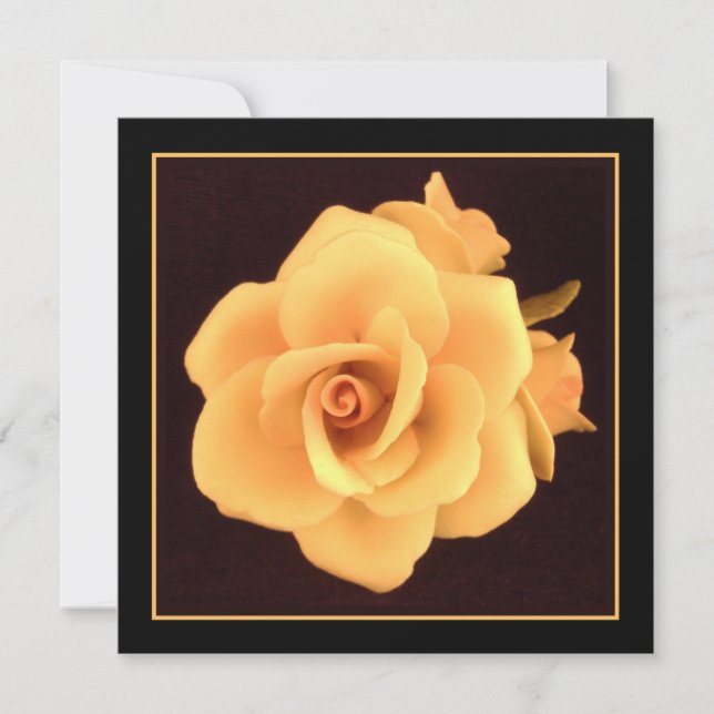 Rosa Amarela, Foto 2004. (Frente)