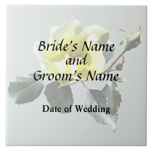 Rosa Amarelo Delicada (Frente)