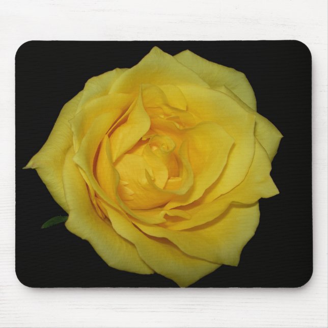 Rosa amarelo Mousepad (Frente)