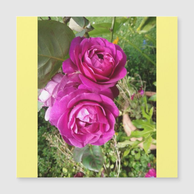 rosa antigo (Frente)