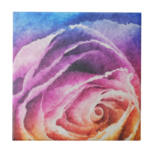 Rosa arco-íris (Frente)