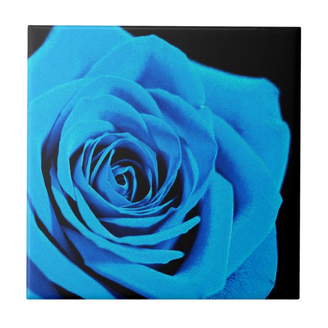Rosa azul (Frente)