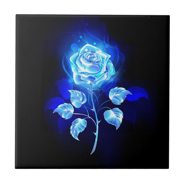 Rosa Azul Ardente (Frente)