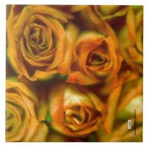 Rosa Azulejo cerâmico