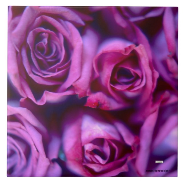 Rosa Azulejo cerâmico (Frente)