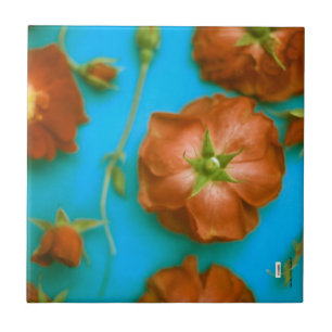 Rosa Azulejo cerâmico