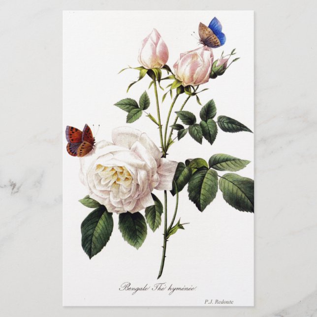 Rosa Bengale - Pierre Joseph Redouté. (Frente)
